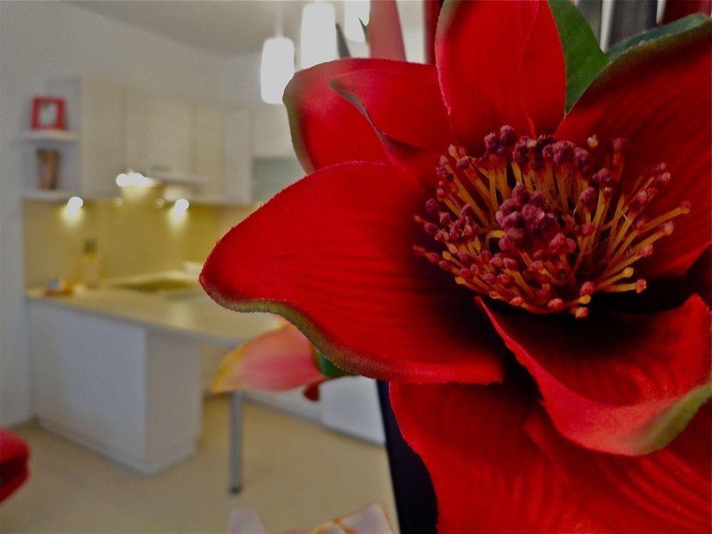 Apartamenty Aparts Lodź Bagian luar foto